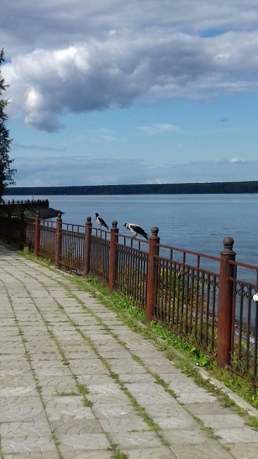 IMG-20170821-WA0011.jpg