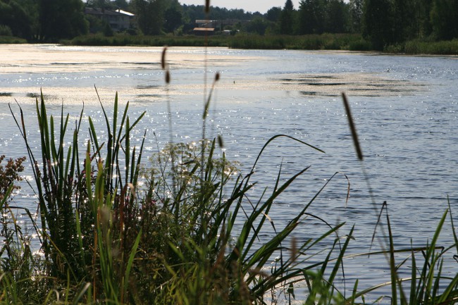 уменьш_9590.jpg