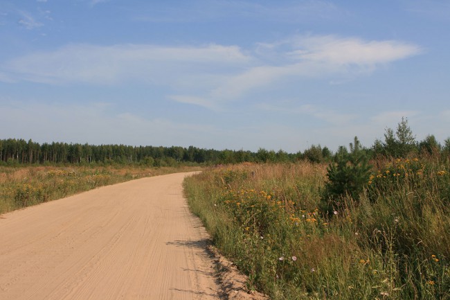 1_9563.jpg