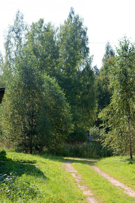 1_9559.jpg
