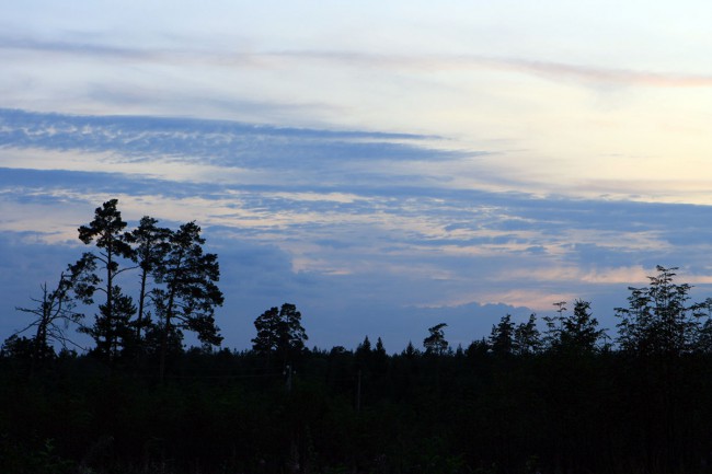 1_9616.jpg