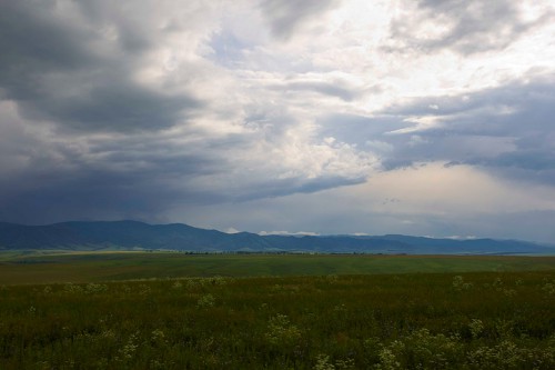 _05G0709.jpg