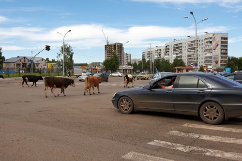 Без коментариев