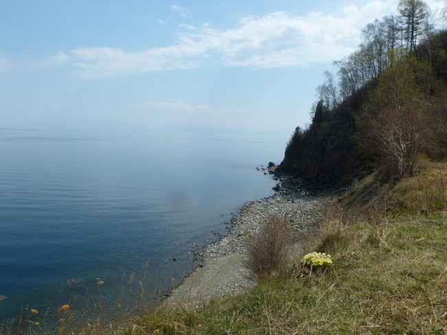 image1.jpg