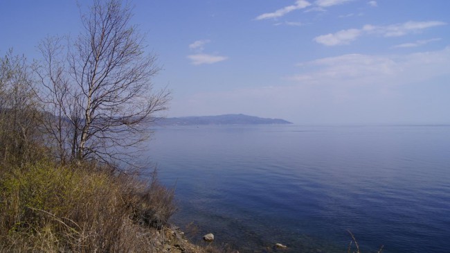 image2.jpg