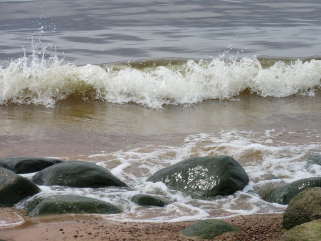 IMG_Vidzemes jurmala.jpg