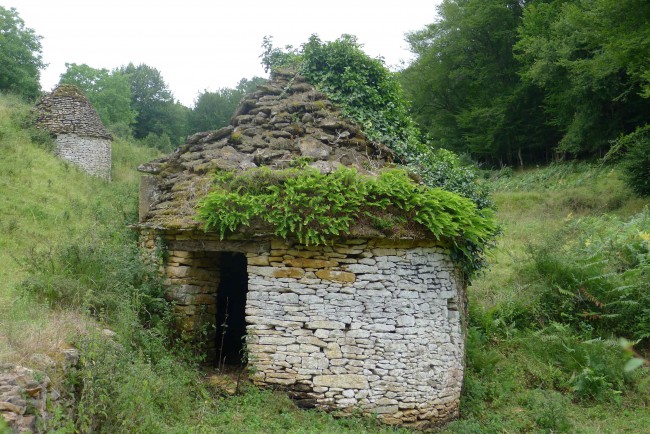 P1320855.JPG
