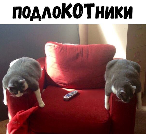 dGkdQEiX0qg.jpg