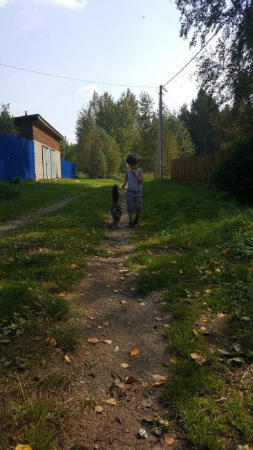 ДРУЗЬЯ.