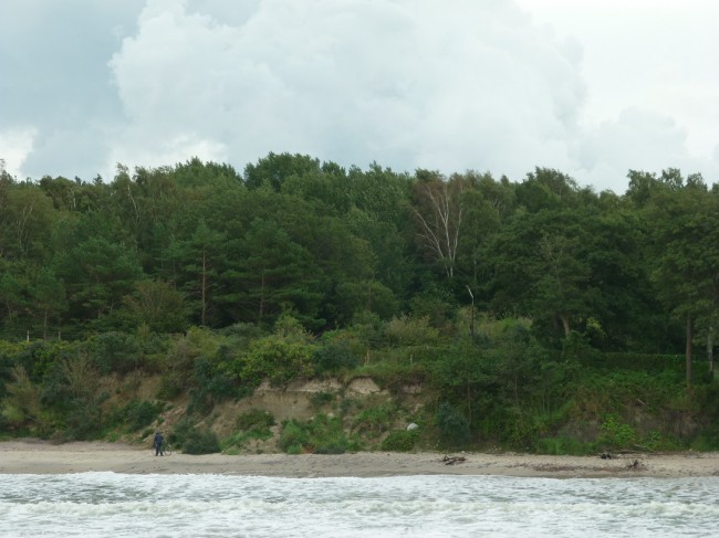 P1240842+.jpg