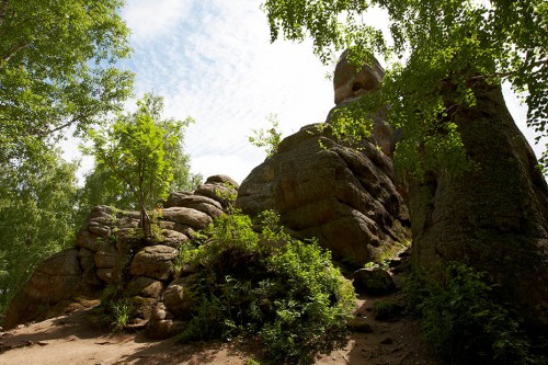 _05G1577.jpg