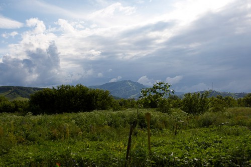 _05G0788.jpg