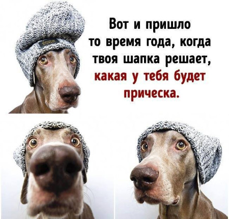 шапка.jpg