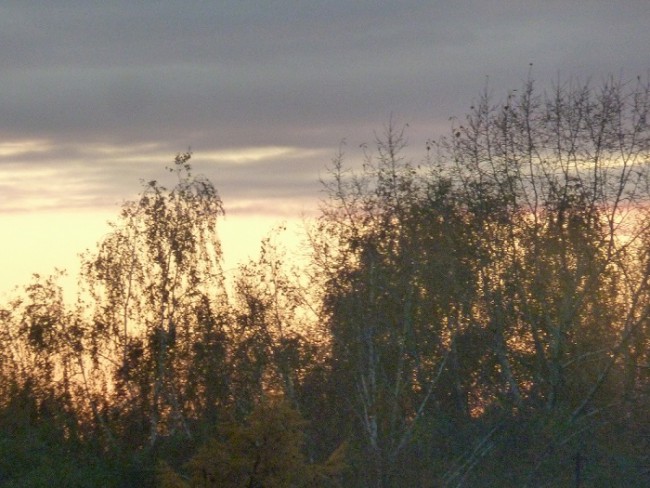 P1130240.JPG
