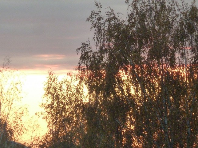 P1130243.JPG