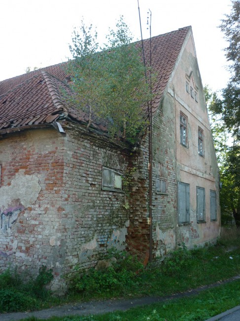 P1250533+.jpg