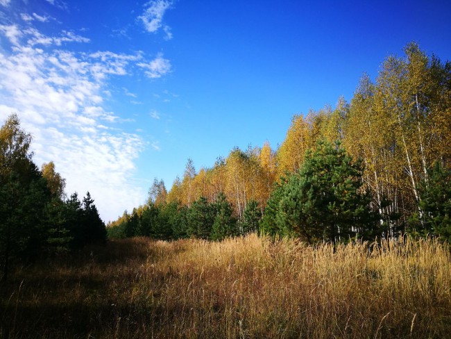 IMG-20171009-WA0078.jpg