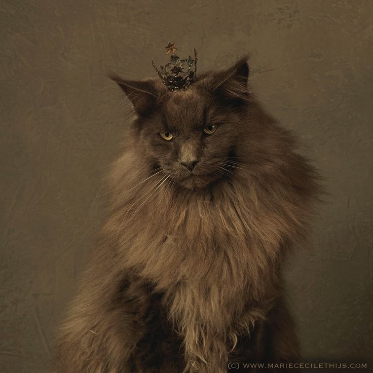 Королева.jpg