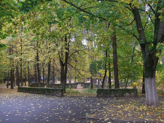 DSCF7416.jpg