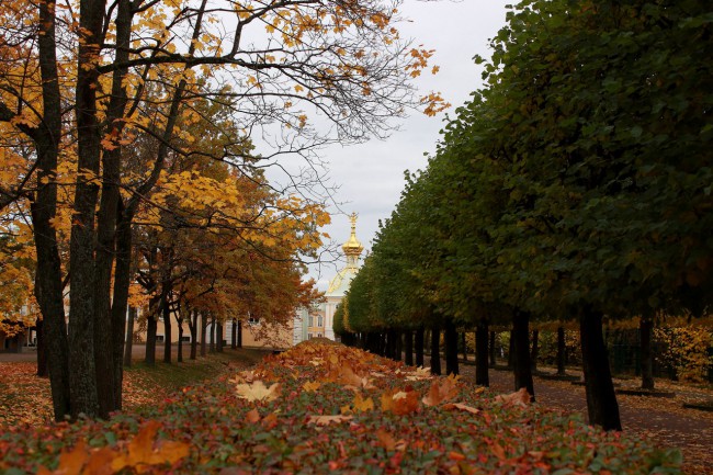 Петергоф