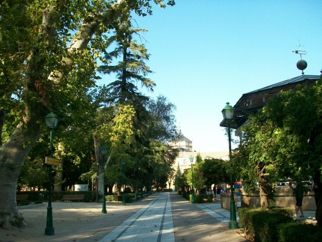 дорога через парк