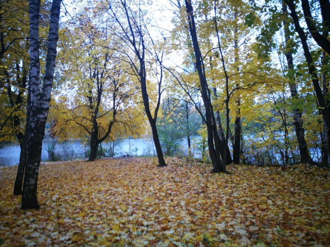 IMG-20171016-WA0030.jpg