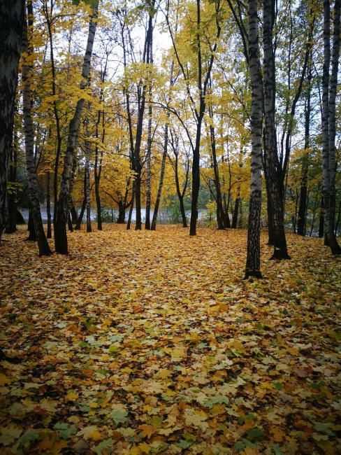 IMG-20171016-WA0016.jpg