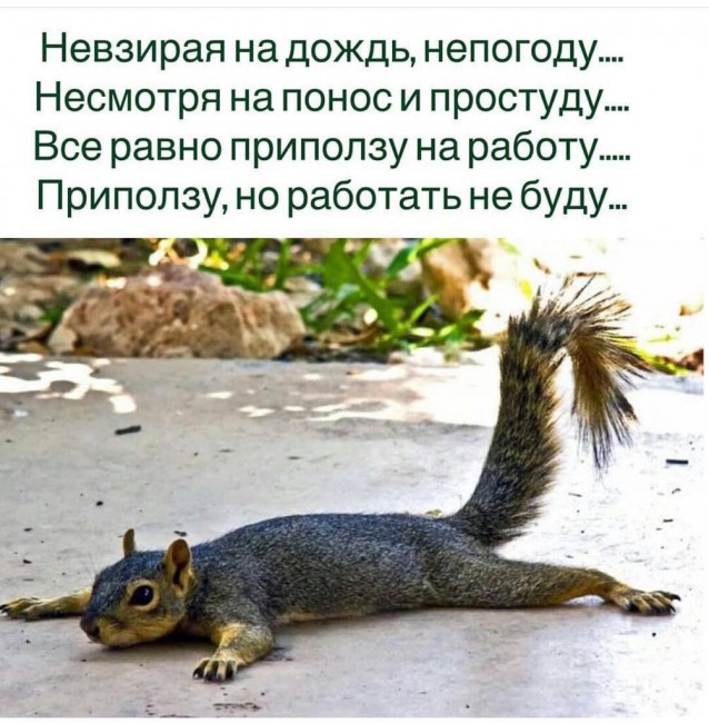 Работа.jpg