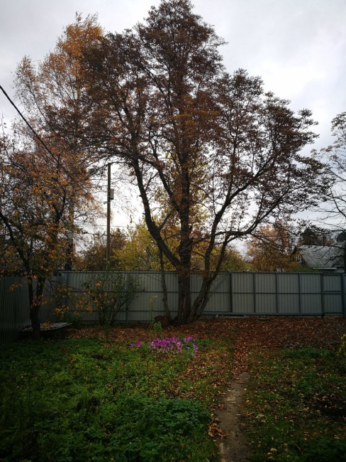 IMG-20171019-WA0033.jpg