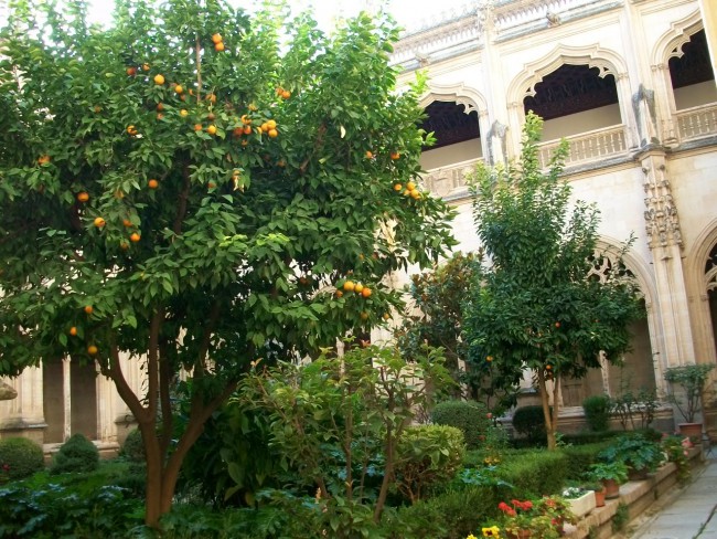 100_9104.JPG