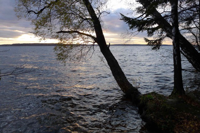 P1350560.JPG
