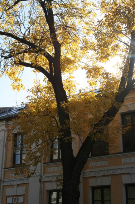 IMG_4434_новый размер.JPG