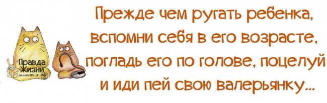 Прежде чем ругать.jpg