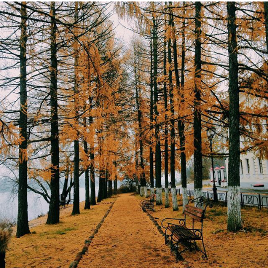 Screenshot_2015-11-01-23-31-01-1.png