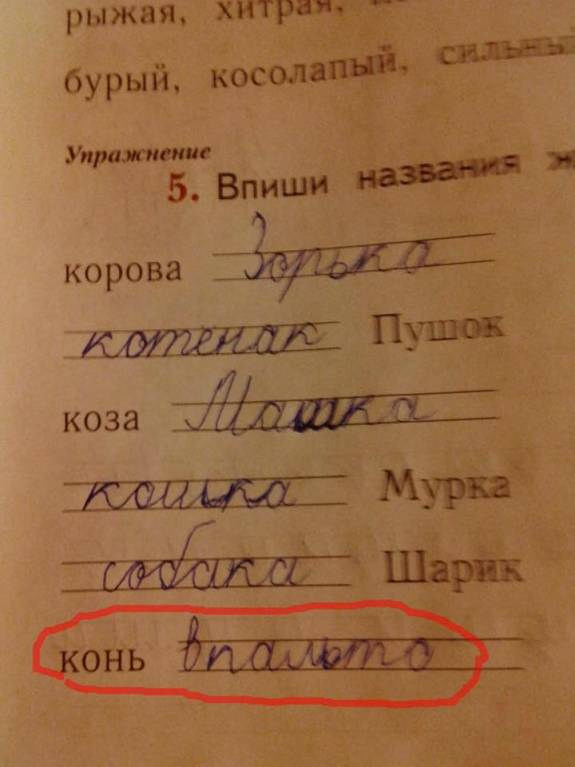 кто кто.jpg