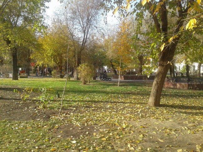 парк 2.jpg