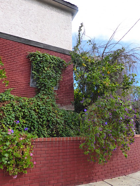 P1090045.jpg