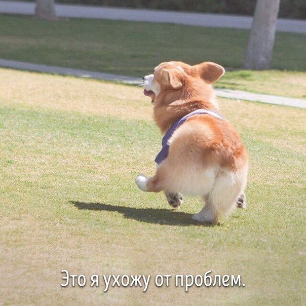 от винта.jpg