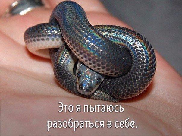 вот так.jpg