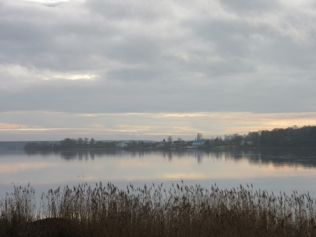IMG_8715_1.jpg