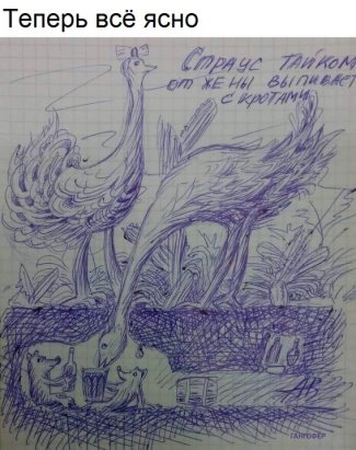 image7LCQAZQD.jpg