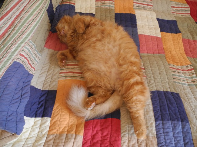DSCN6636.JPG