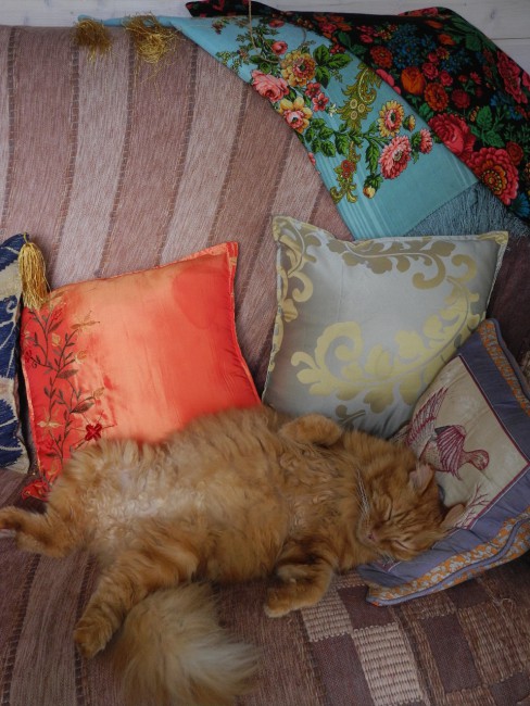 DSCN6628.JPG