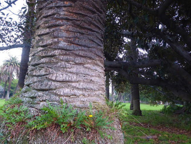 P1090284.jpg