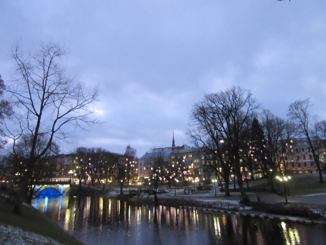 IMG_8974_1.jpg