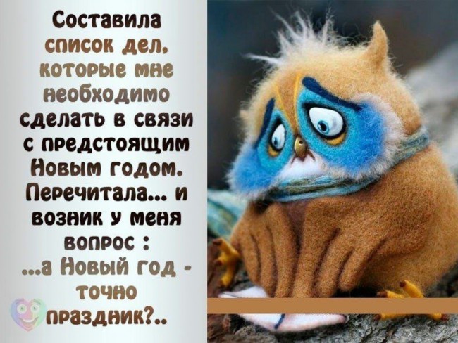НГ.jpg