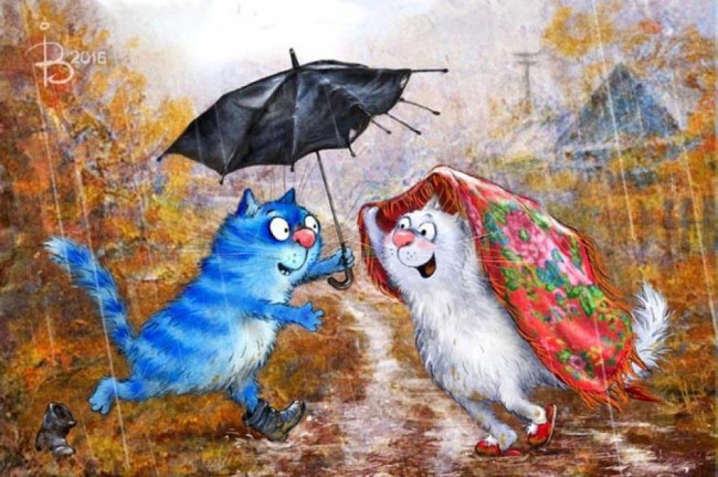 Котики.jpg