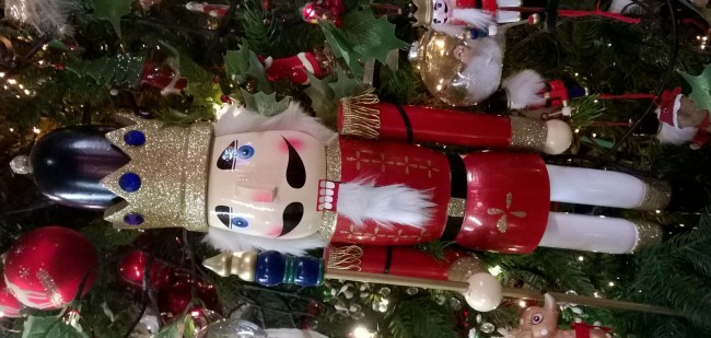 WP_20171111_026.jpg