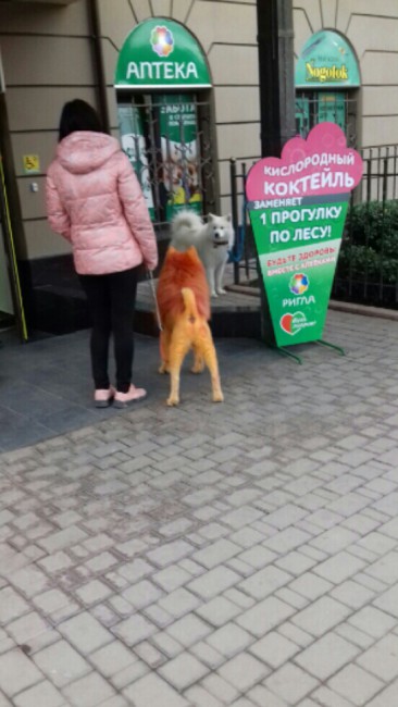 20171225_211607-1.jpg