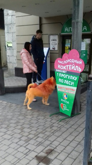 20171225_211626-1.jpg
